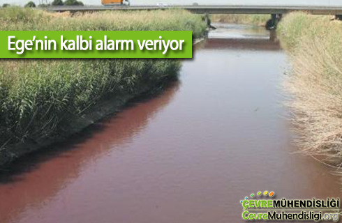 egenin kalbi alarm veriyor 2018haber