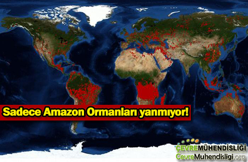 amazon ormanlari yaniyor 2019 haber