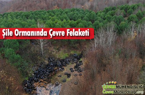 sile ormaninda cevre felaketi 2019 haber