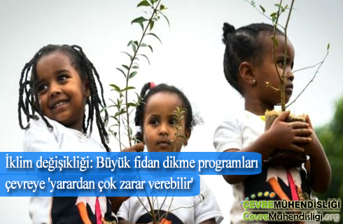 buyuk fidan dikme programlari 2020