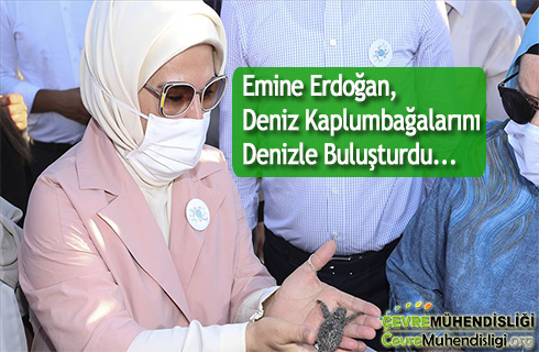 emine erdogan deniz kaplumbagalarini denizle bulusturdu