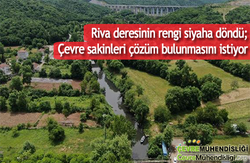 riva deresinin rengi siyaha dondu cevre sakinleri cozum bulunmasini istiyor