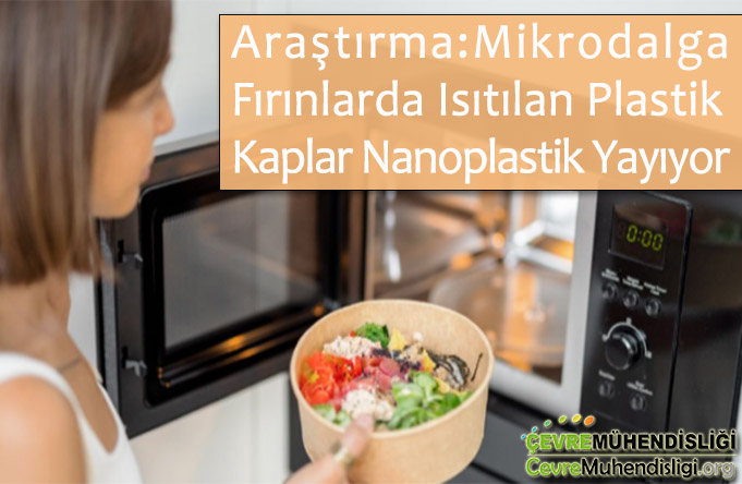 nanoplastikler