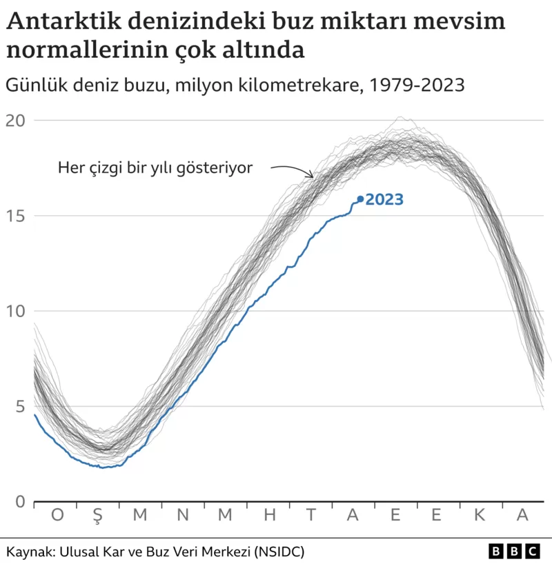 penguenler 4