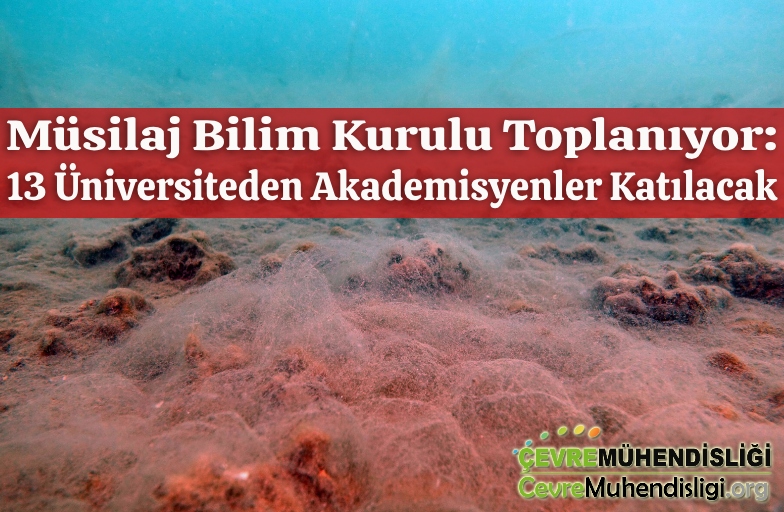 musilaj bilim kurulu toplaniyor