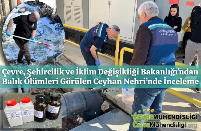 Çevre, Şehircilik ve İklim Değişikliği Bakanlığı'ndan Balık Ölümleri Görülen Ceyhan Nehri’nde İnceleme