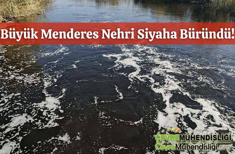 buyuk menderes nehri siyaha burundu