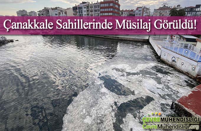 canakkale de musilaj