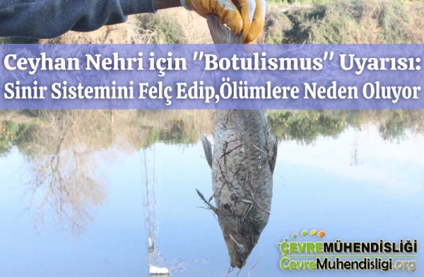 ceyhan nehri icin botulismus uyarisi