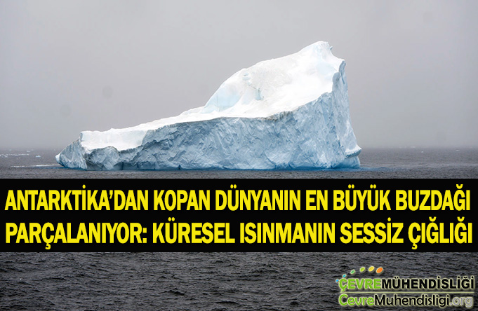 dunyanin en buyuk buzdagi parcalaniyor
