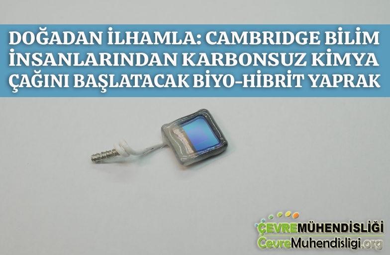 gunesle calisan yapay yaprak