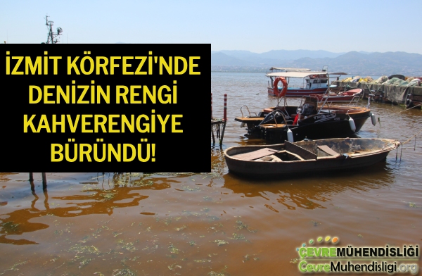 İZMİT KÖRFEZİ'NDE DENİZİN RENGİ KAHVERENGİYE BÜRÜNDÜ!